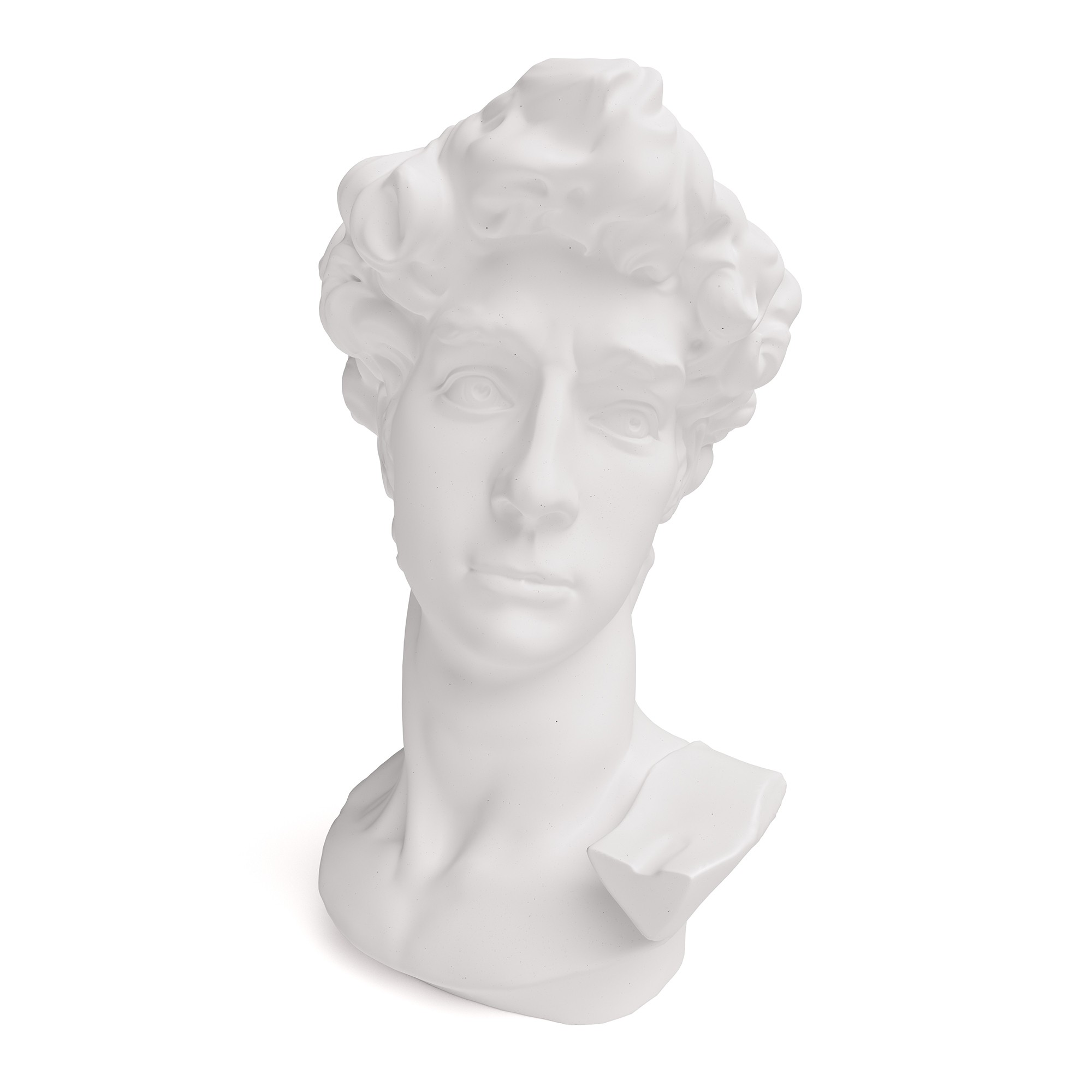 Giulia Grillo Design-Ornament Il David