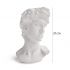 Ornement design Il David