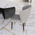 Der Prunkvolle Grey Stuhl Design-Stuhl