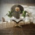 Chair Shell Design chair