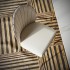 Sedia Conchiglia Sedia di design