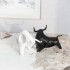 Ornement design Taureaux Matt