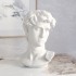 Ornement design Il David
