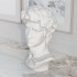 Design-Ornament Il David