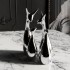 Ornement design Le cerf