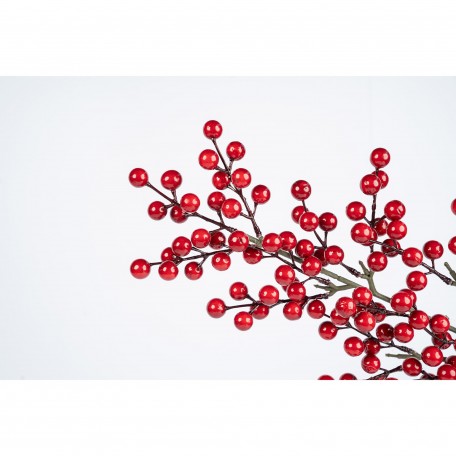 Dekorativer Zweig mit Glänzenden Roten Beeren Dekorativer Zweig mit Glänzenden Roten Beeren