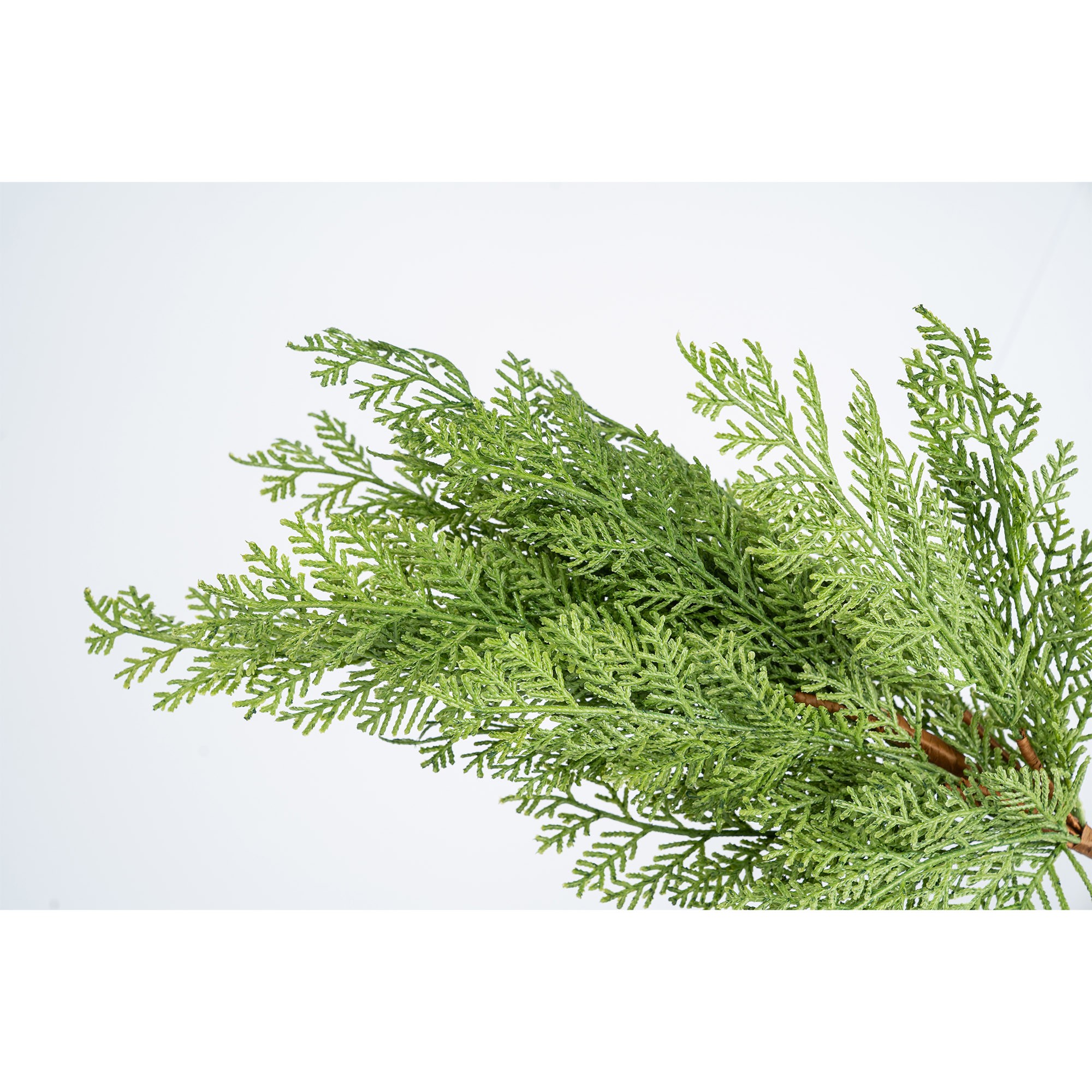 Giulia Grillo Ramo Decorativo Verde Realistico Cipresso 55cm
