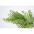 Ramo Decorativo Verde Realistico Cipresso 55cm