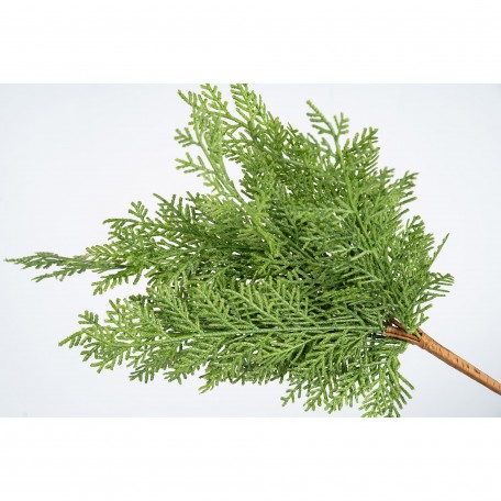Branche Décorative Verte Réaliste de Cyprès