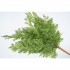 Ramo Decorativo Verde Realistico Cipresso 55cm