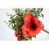 Ramo Decorativo Fiore Rosso e Bacche