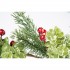 Festone Decorativo Naturale