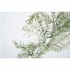Festone Bianco Innevato