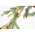 Festone Decorativo Rami di Pino e Pigne Naturali