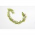 Festone Decorativo Foglie Verdi e Bacche Rosse