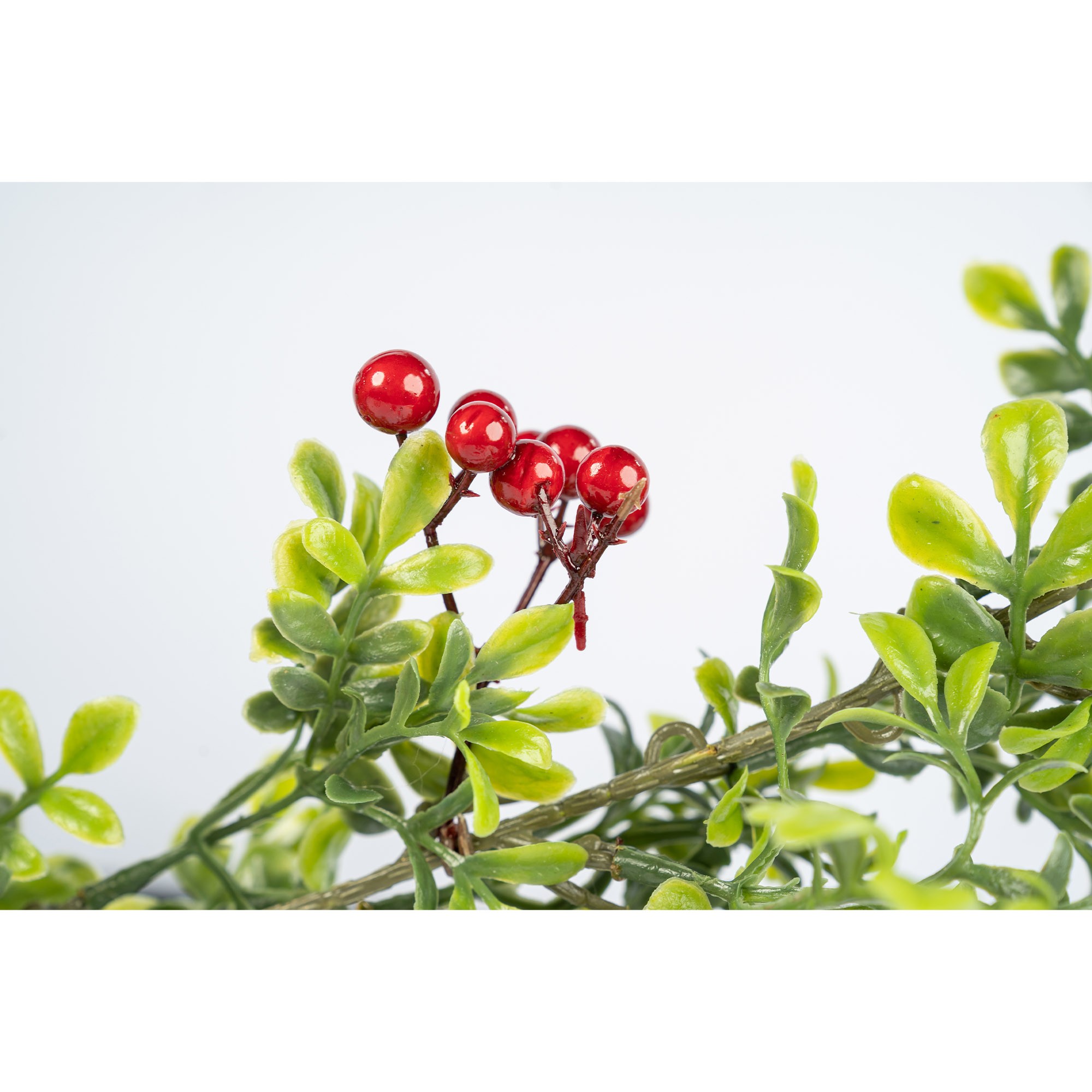 Giulia Grillo Festone Decorativo Foglie Verdi e Bacche Rosse