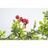 Festone Decorativo Foglie Verdi e Bacche Rosse
