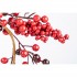 Festone Elegante Bacche Rosse