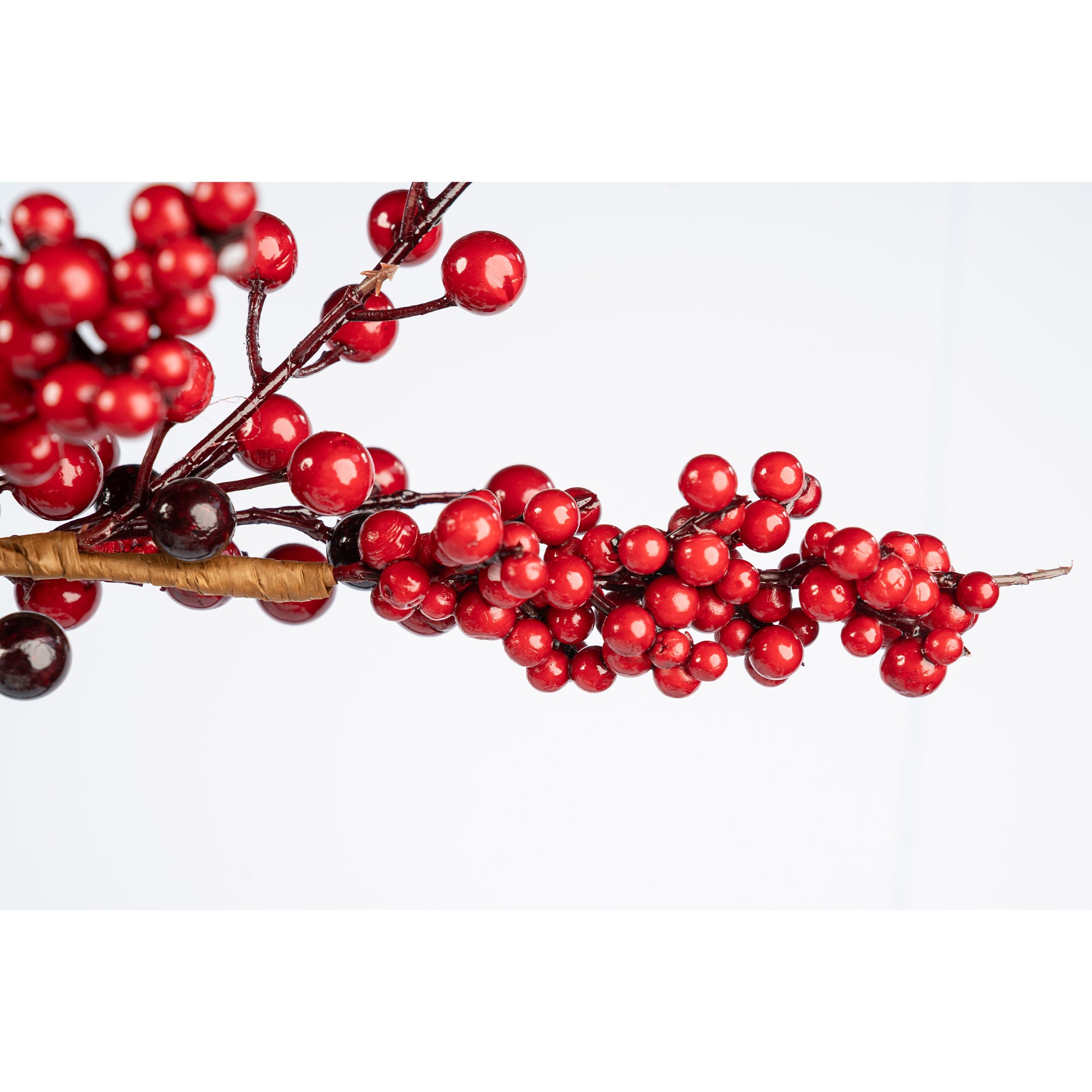 Giulia Grillo Elegant Garland with Red Berries