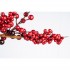 Festone Elegante Bacche Rosse