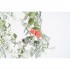 Festone Raffinato Innevato con Bacche Rosse