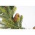 Green Wreath with Pine Cones