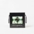 Boules de Noël Nacrées "Vert Clair Nacré" ⌀10cm, lot de 4