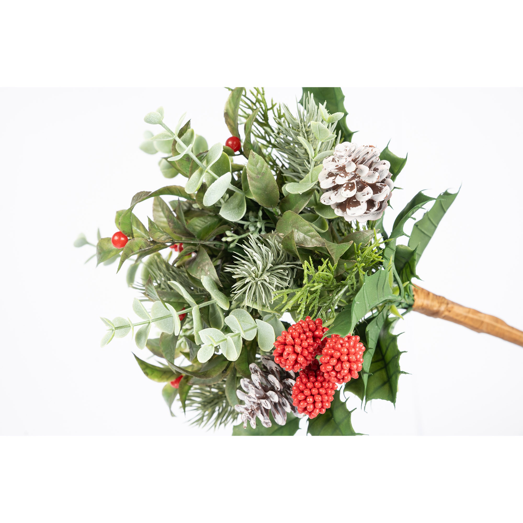 Giulia Grillo Zweig mit Schneebedeckten Tannenzapfen und Roten Beeren