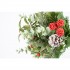 Zweig mit Schneebedeckten Tannenzapfen und Roten Beeren