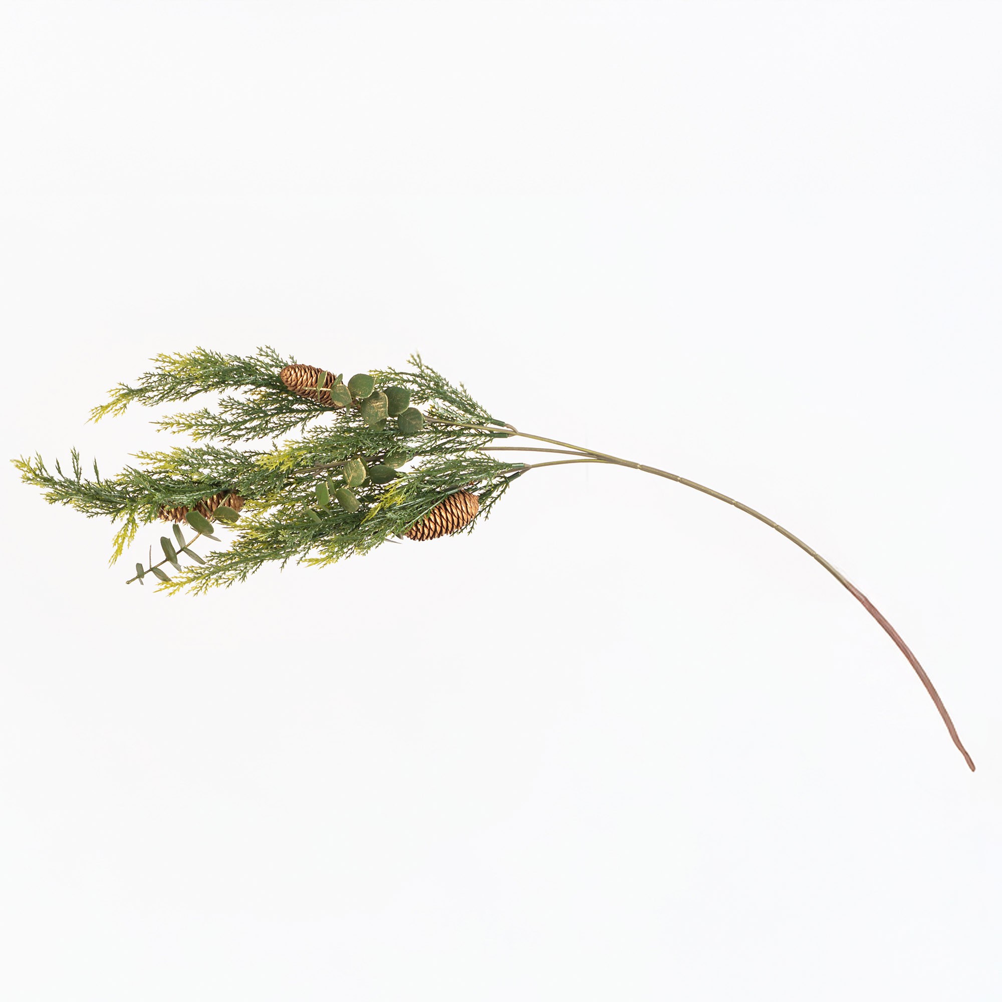 Giulia Grillo Decorative Branch with Green Needles and Pine Cones
