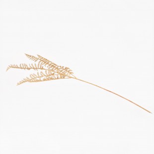 Decorative Golden Branch...