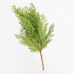 Branche Décorative Verte...