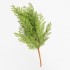 Ramo Decorativo Verde Realistico Cipresso 55cm
