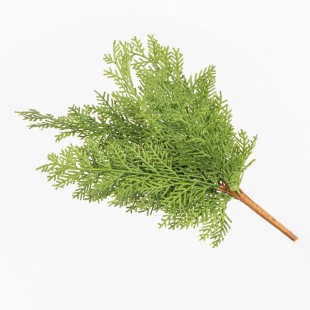 Green Decorative Branch in...