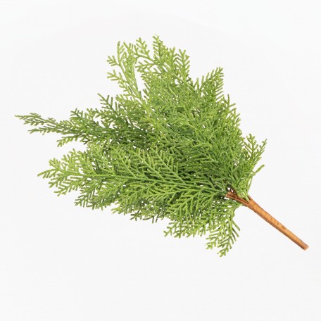Rama Decorativa Verde de Estilo Ciprés