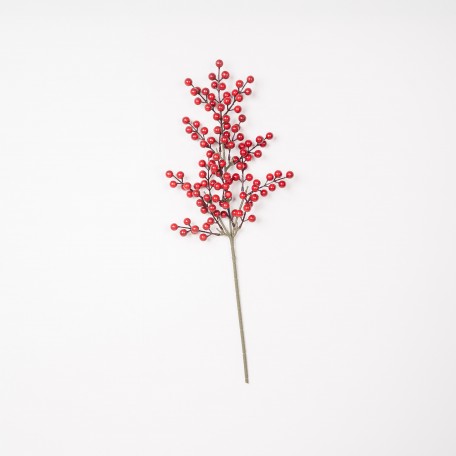 Dekorativer Zweig mit Glänzenden Roten Beeren