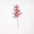 Branche Décorative avec Baies Rouges Brillantes
