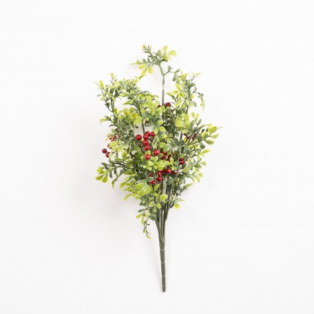 Dekorativer Zweig mit Roten Beeren und Grünen Blättern