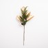 Decorative Branch with Green Needles and Pine Cones