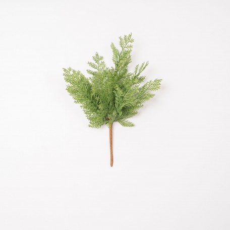 Green Decorative Branch in Cypress Style