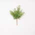 Green Decorative Branch in Cypress Style