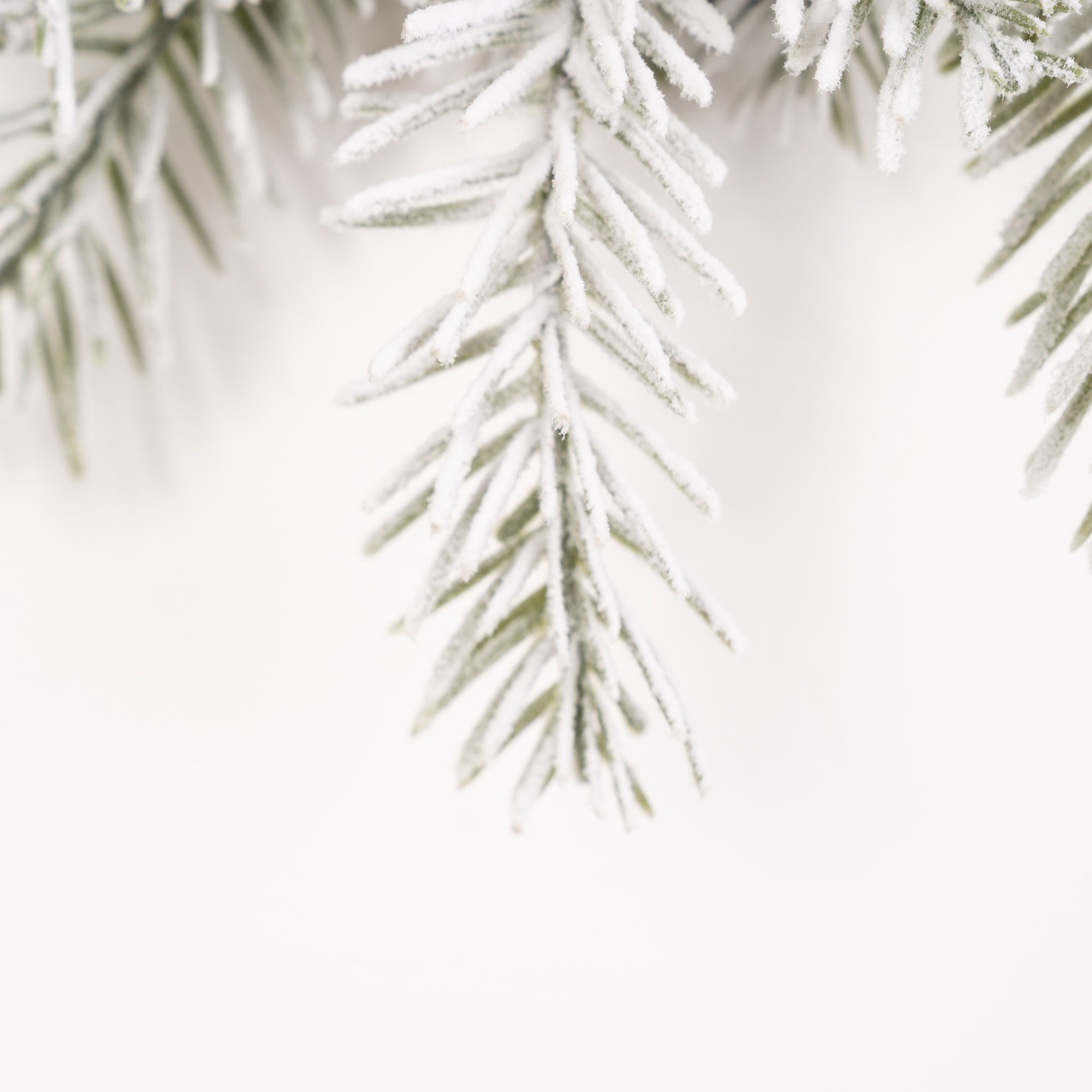 Giulia Grillo Schneebedeckte Weiße Girlande