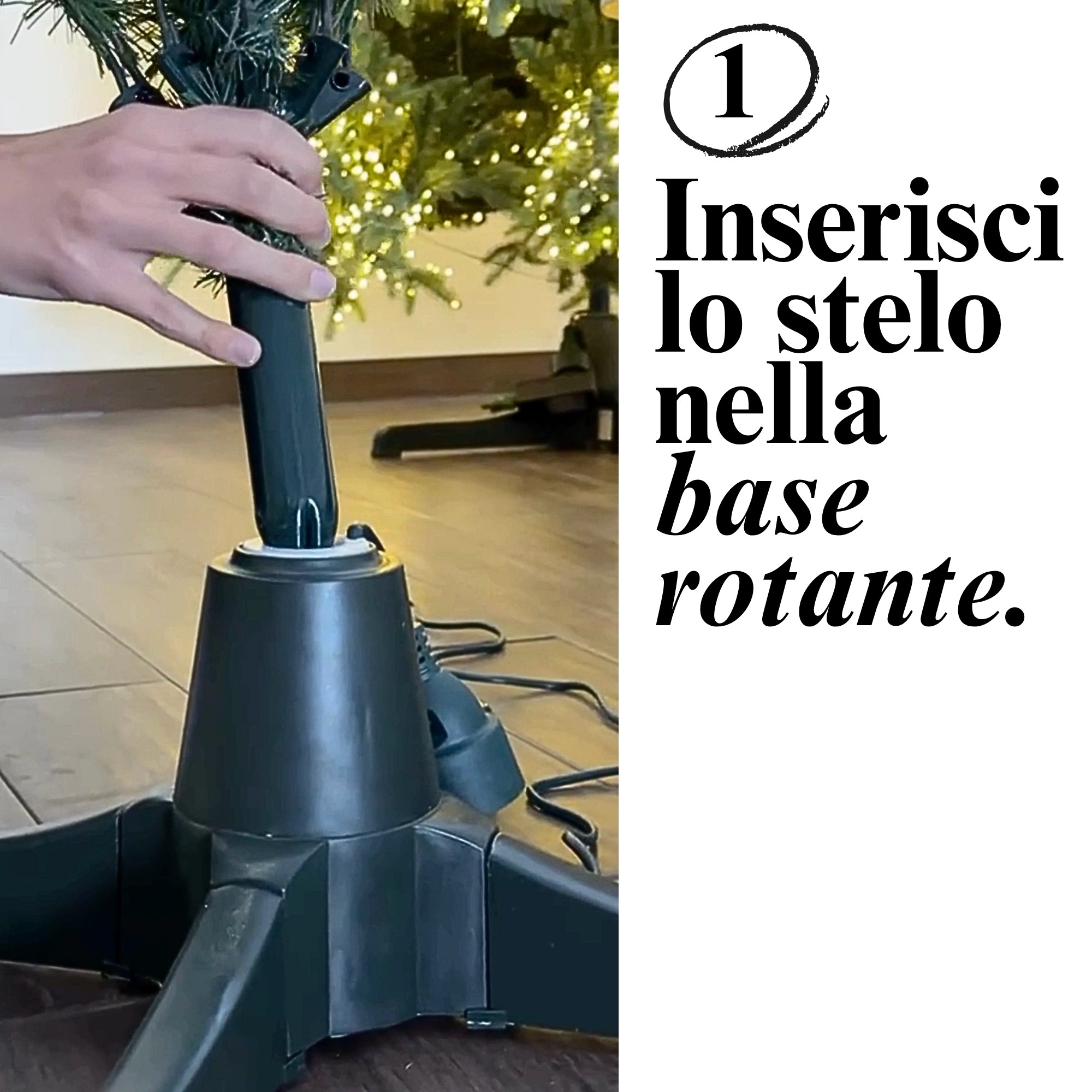 Giulia Grillo Base giratoria