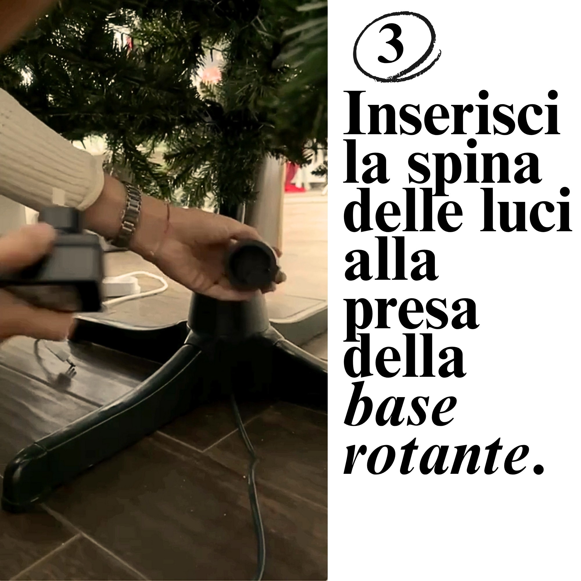 Giulia Grillo Base rotative