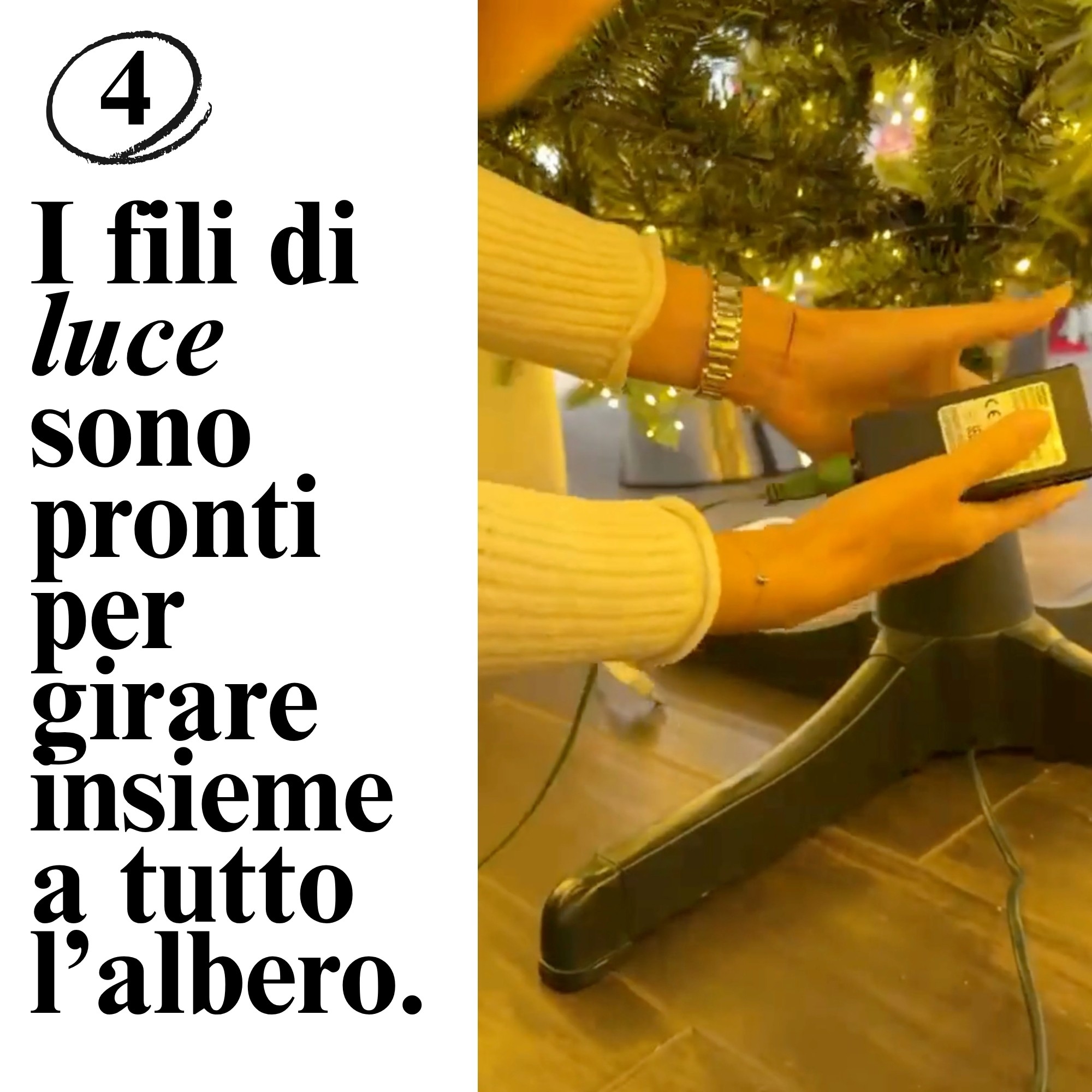 Giulia Grillo Base rotative