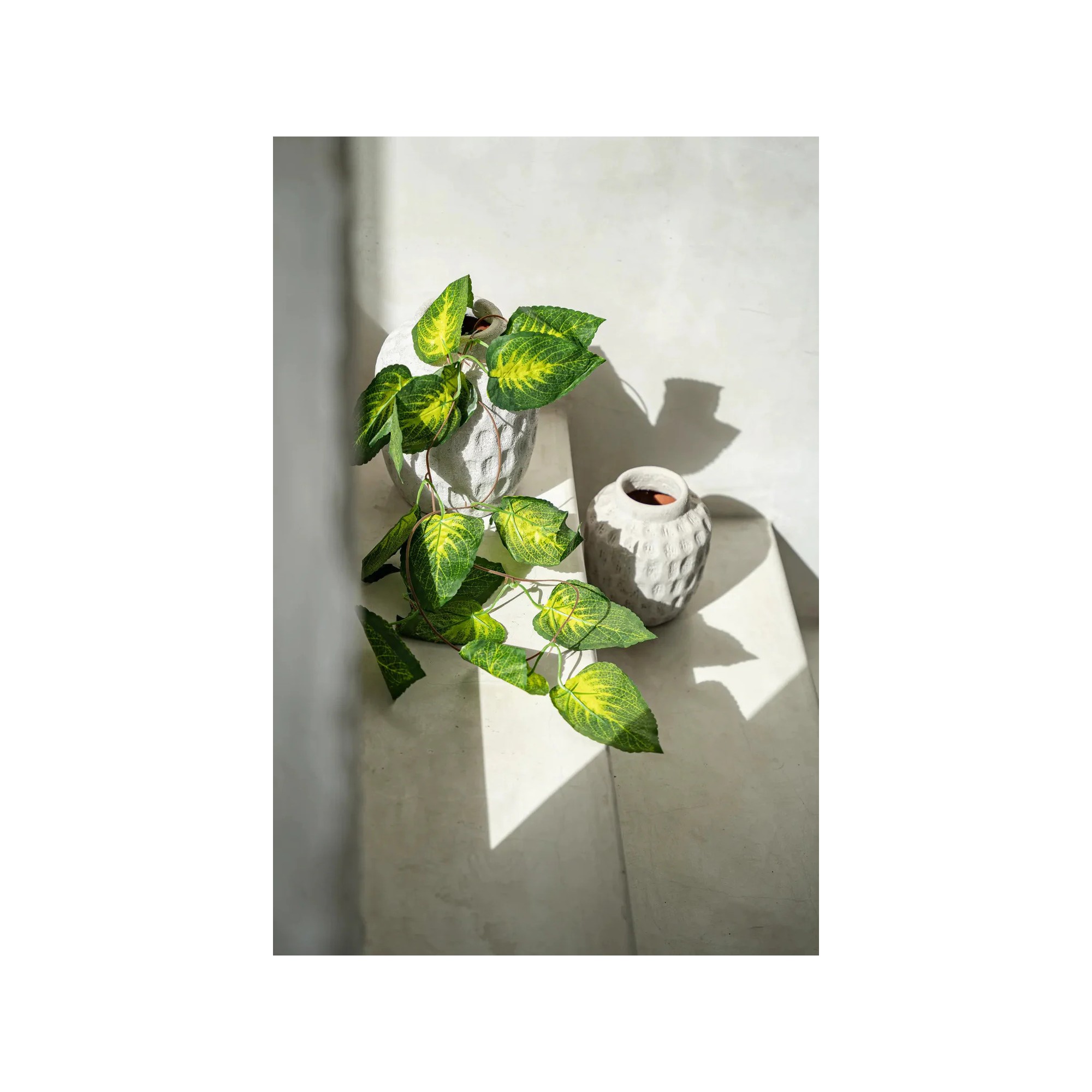 Giulia Grillo VASO CALCESTRUZZO M