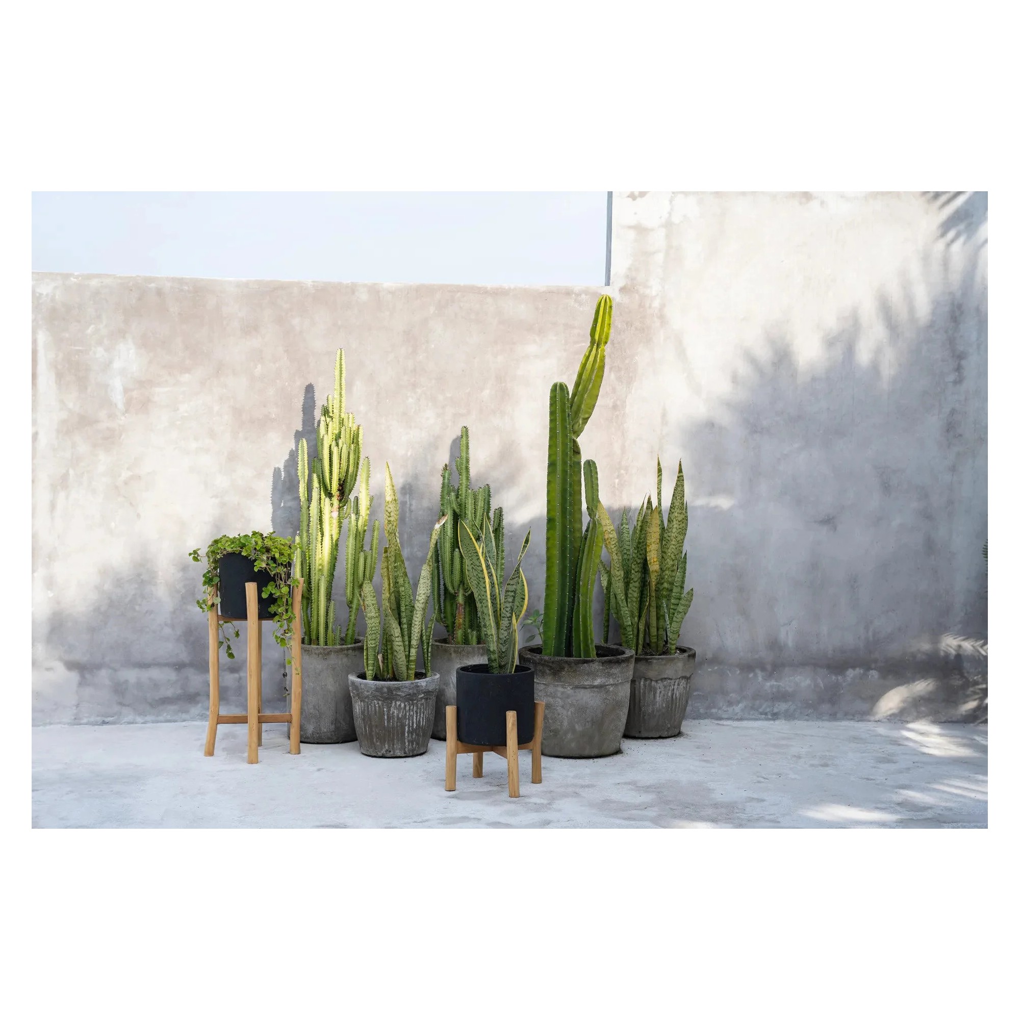 Giulia Grillo Porta Piante Charcoal S