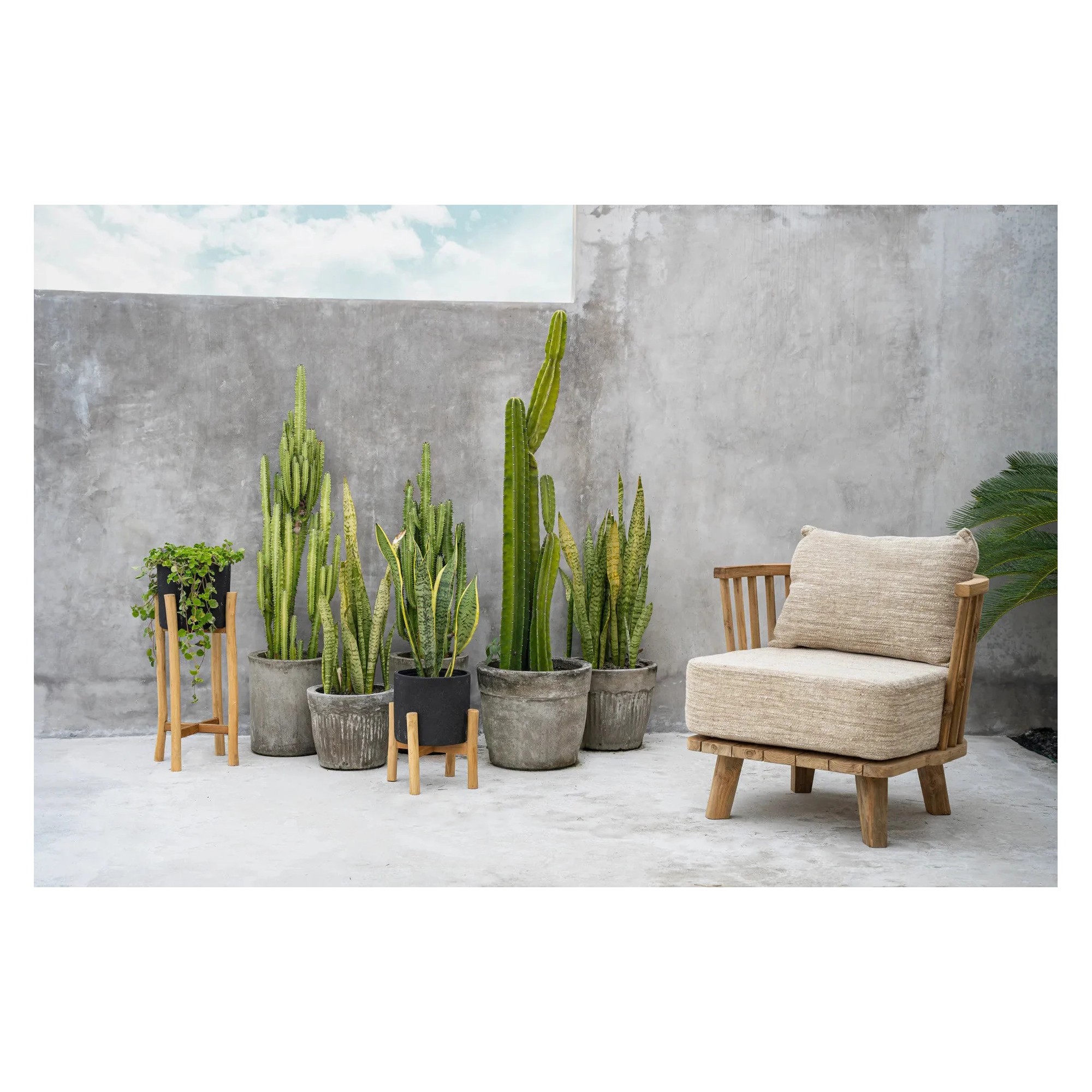 Giulia Grillo Porta Piante Charcoal S