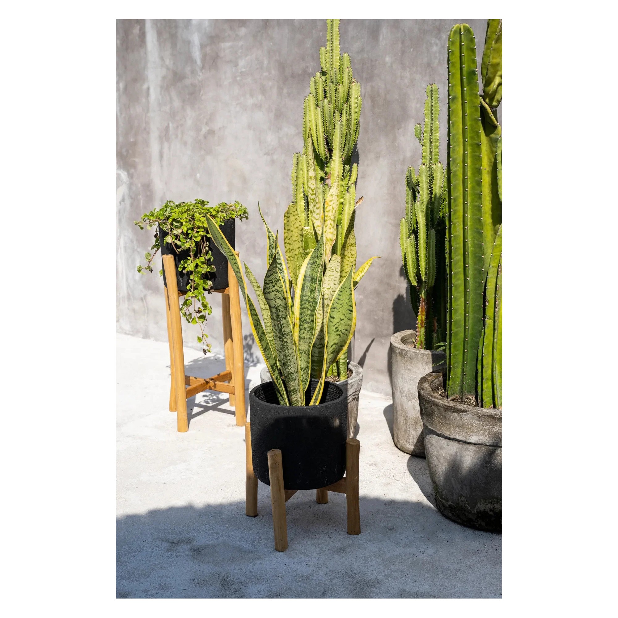 Giulia Grillo Porta Piante Charcoal S