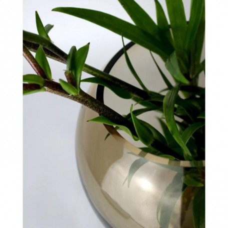 Vaso Oblò in vetro rotondo marrone fatto a mano